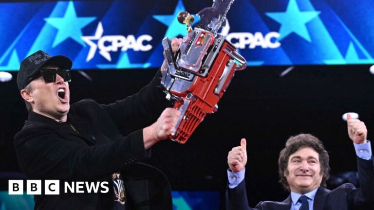 Elon Musk waves chainsaw gifted by Argentinian President Milei