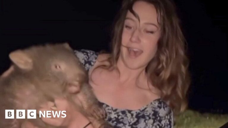 ‘For holding a wombat, thousands threatened my life’