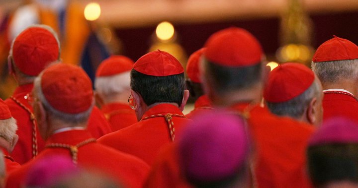 Cardinals have not made up minds on next pope despite some front-runners – National
